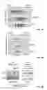 Fig. 15 - Compositions and methods for specific regulation of pyruvate dehydrogenase kinase