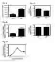 Fig. 02 - Dengue virus (DV) polypeptide sequences, T cell epitopes and methods and uses thereof