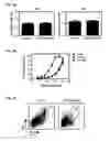 Fig. 07 - Dengue virus (DV) polypeptide sequences, T cell epitopes and methods and uses thereof