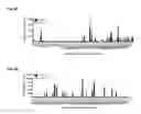 Fig. 12 - Dengue virus (DV) polypeptide sequences, T cell epitopes and methods and uses thereof