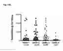 Fig. 22 - Dengue virus (DV) polypeptide sequences, T cell epitopes and methods and uses thereof