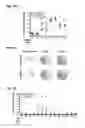 Fig. 28 - Dengue virus (DV) polypeptide sequences, T cell epitopes and methods and uses thereof