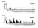 Fig. 34 - Dengue virus (DV) polypeptide sequences, T cell epitopes and methods and uses thereof