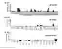 Fig. 35 - Dengue virus (DV) polypeptide sequences, T cell epitopes and methods and uses thereof