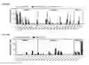Fig. 40 - Dengue virus (DV) polypeptide sequences, T cell epitopes and methods and uses thereof