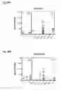 Fig. 42 - Dengue virus (DV) polypeptide sequences, T cell epitopes and methods and uses thereof