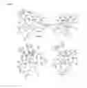 Fig. 03 - Human Adaptation of H7 HA