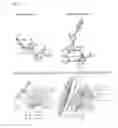 Fig. 09 - Human Adaptation of H7 HA