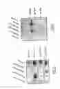 Fig. 06 - Hepatitis B virus pre-S1 derived synthetic polypeptides and uses thereof