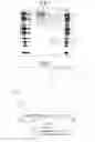 Fig. 02 - Modified chimeric polypeptides with improved pharmacokinetic properties