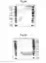 Fig. 06 - Modified chimeric polypeptides with improved pharmacokinetic properties
