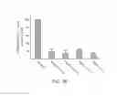Fig. 05 - METHOD FOR PRODUCING HYPO-METALLATED REDOX-ACTIVE METALLOTHIONEIN PROTEIN AND PHARMACEUTICAL COMPOSITION CONTAINING THE SAME