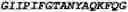 Fig. 15 - Antibody frameworks