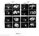 Fig. 11 - Pathogen Binding Agents Conjugated to Radioisotopes and Uses in Imaging and Therapeutic Applications