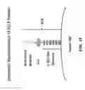 Fig. 07 - Multivalent DLL3 antibodies