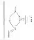 Fig. 10 - Multivalent DLL3 antibodies
