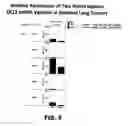 Fig. 13 - Multivalent DLL3 antibodies