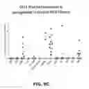 Fig. 20 - Multivalent DLL3 antibodies