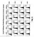 Fig. 21 - Multivalent DLL3 antibodies