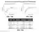 Fig. 37 - Multivalent DLL3 antibodies