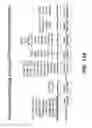 Fig. 38 - Multivalent DLL3 antibodies