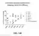 Fig. 39 - Multivalent DLL3 antibodies