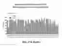 Fig. 45 - Multivalent DLL3 antibodies