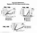 Fig. 50 - Multivalent DLL3 antibodies