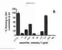 Fig. 11 - Anti-nodal antibodies and methods of using same