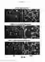 Fig. 31 - Anti-nodal antibodies and methods of using same