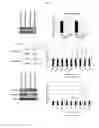Fig. 47 - Anti-nodal antibodies and methods of using same