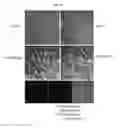 Fig. 52 - Anti-nodal antibodies and methods of using same