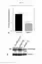 Fig. 53 - Anti-nodal antibodies and methods of using same