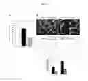Fig. 72 - Anti-nodal antibodies and methods of using same