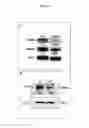 Fig. 77 - Anti-nodal antibodies and methods of using same