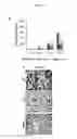 Fig. 78 - Anti-nodal antibodies and methods of using same