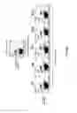 Fig. 08 - ANTI-ILT7 ANTIBODY