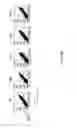 Fig. 09 - ANTI-ILT7 ANTIBODY