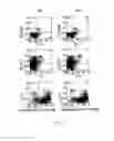 Fig. 10 - ANTI-ILT7 ANTIBODY