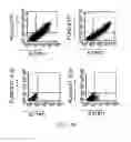 Fig. 15 - ANTI-ILT7 ANTIBODY
