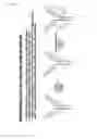 Fig. 05 - Modified antibodies and related compounds, compositions, and methods of use