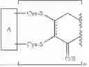 Fig. 61 - Modified antibodies and related compounds, compositions, and methods of use