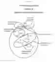Fig. 03 - Glycan-interacting compounds and methods of use