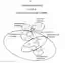 Fig. 04 - Glycan-interacting compounds and methods of use