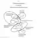 Fig. 05 - Glycan-interacting compounds and methods of use