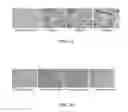 Fig. 02 - Compositions comprising chimeric antigen receptors, T cells comprising the same, and methods of using the same