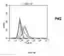 Fig. 17 - Compositions comprising chimeric antigen receptors, T cells comprising the same, and methods of using the same