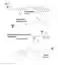Fig. 20 - Cysteine engineered antibodies and conjugates