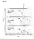 Fig. 27 - Cysteine engineered antibodies and conjugates