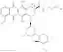 Fig. 61 - Cysteine engineered antibodies and conjugates